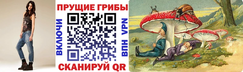 Купить где  Раменское  Псилоцибиновые грибы MAGIC MUSHROOMS